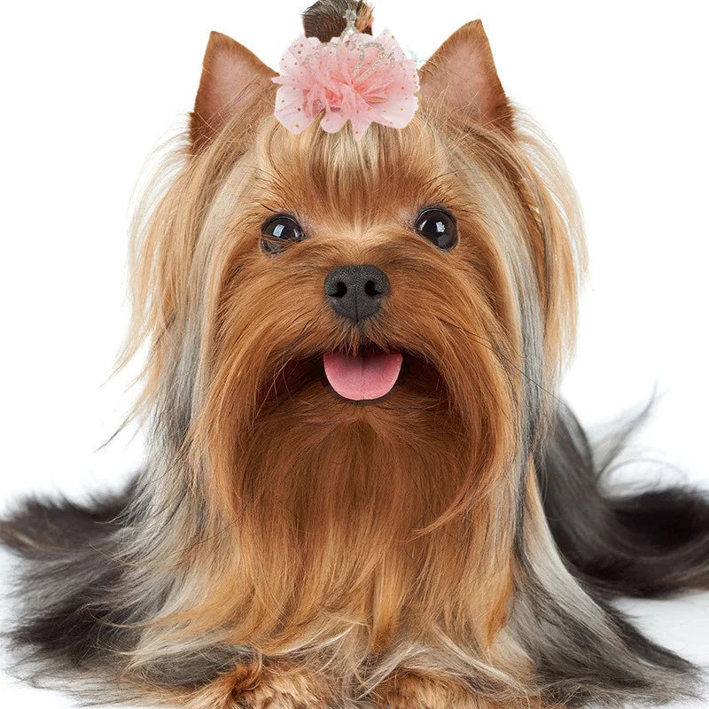 Multicolor Pet Hair Clip Crown Bow – Cute Lace Hairpins for Dogs & Cats
