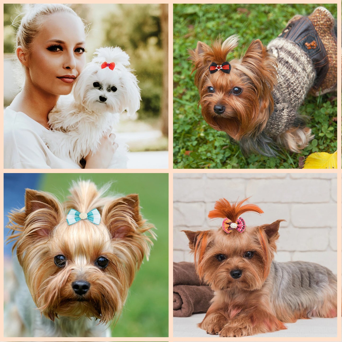 Cute Hair Accessories for Dogs & Cats