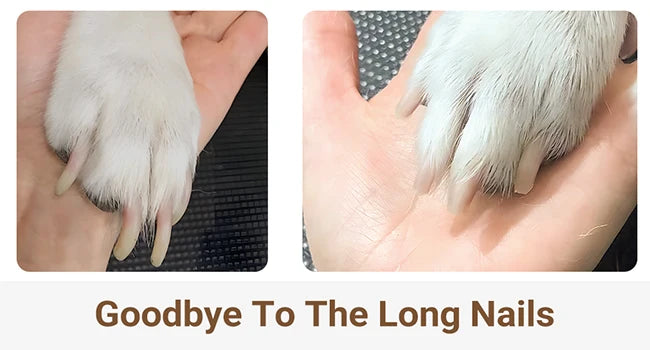 4-in-1 Pet Grooming & Care Set – Low Noise Rechargeable Clippers