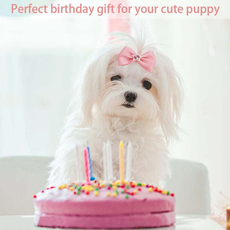 Cute Dog & Cat Grooming Bows – Small Hair Clips & Rubber Bands for Pets