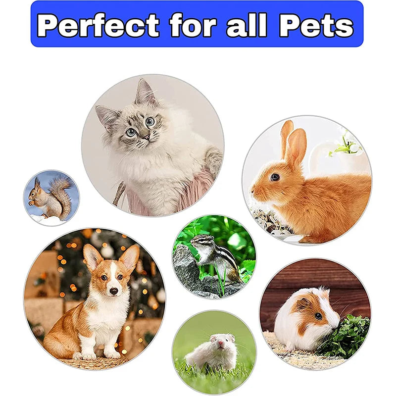 4-in-1 BunnyCare™ Grooming Kit – Tear Stain Comb, Nail Clipper & Bath Brush for Rabbits & Small Pets