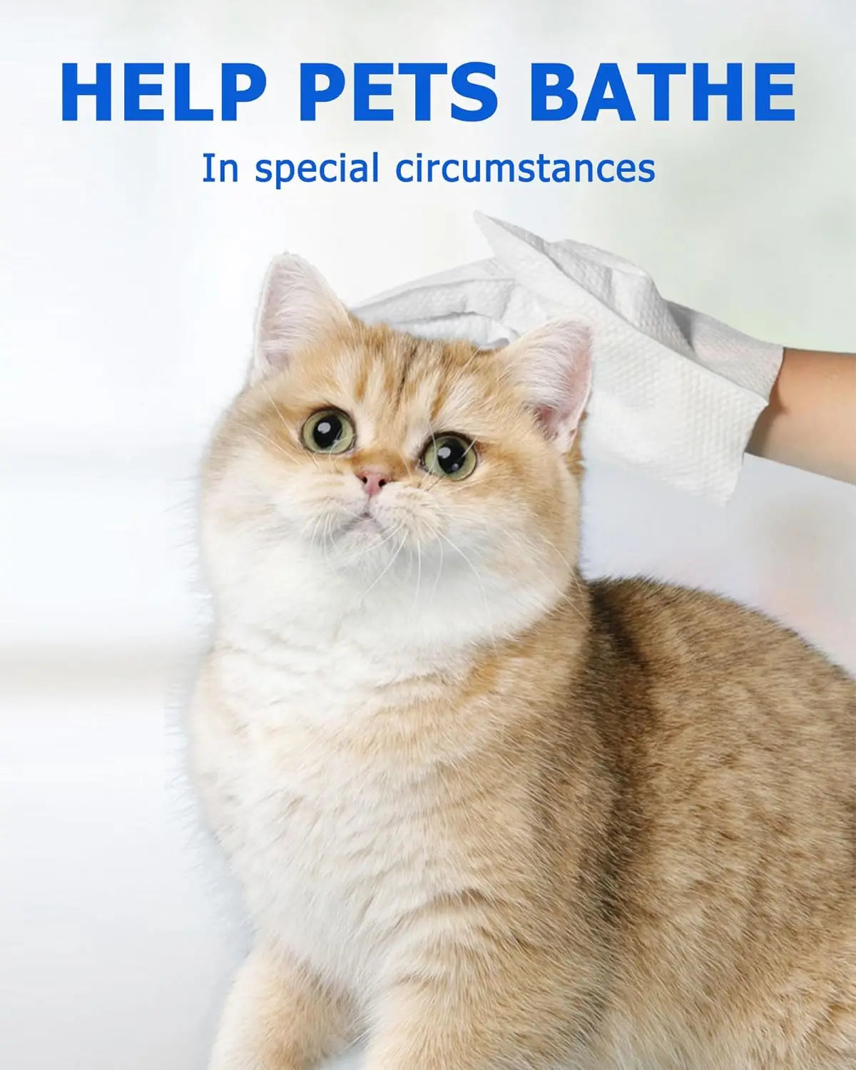 PawFresh™ Cleaning Wipe Gloves