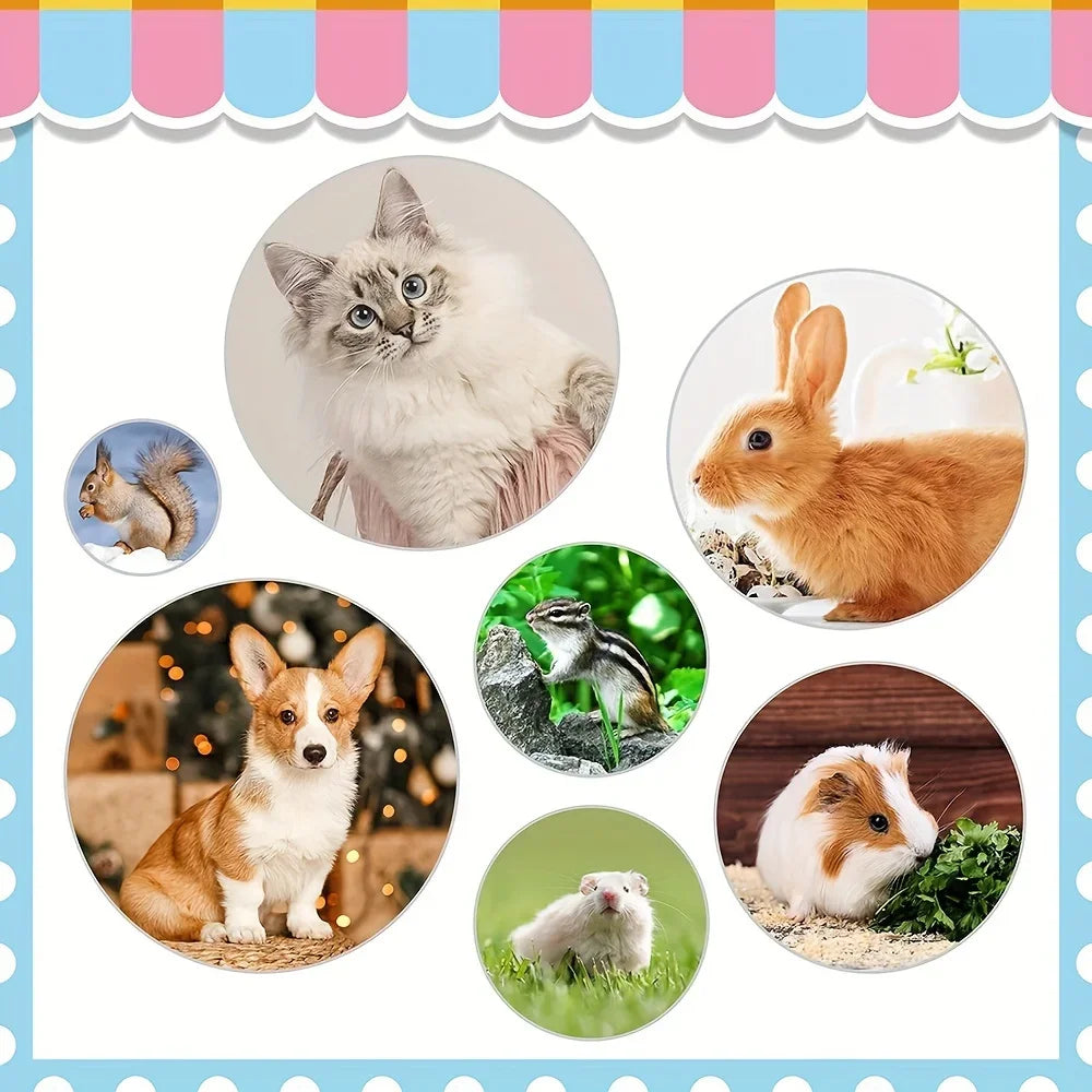 9-in-1 Pet Grooming Kit