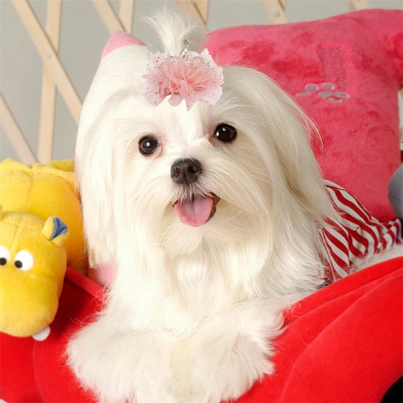 Multicolor Pet Hair Clip Crown Bow – Cute Lace Hairpins for Dogs & Cats
