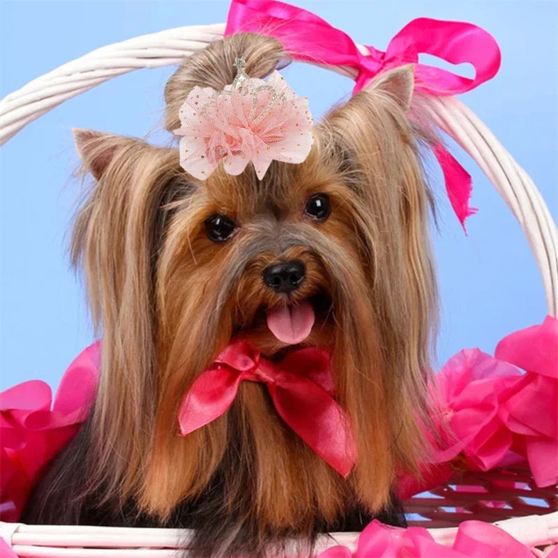 Multicolor Pet Hair Clip Crown Bow – Cute Lace Hairpins for Dogs & Cats