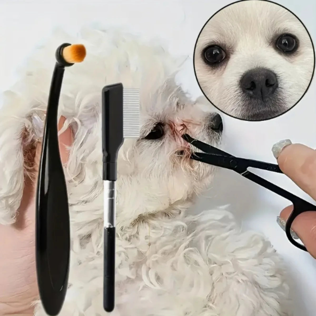 3-in-1 Pet Grooming Kit – Scissors, Comb & Brush Set for Tear Stains & Trimming
